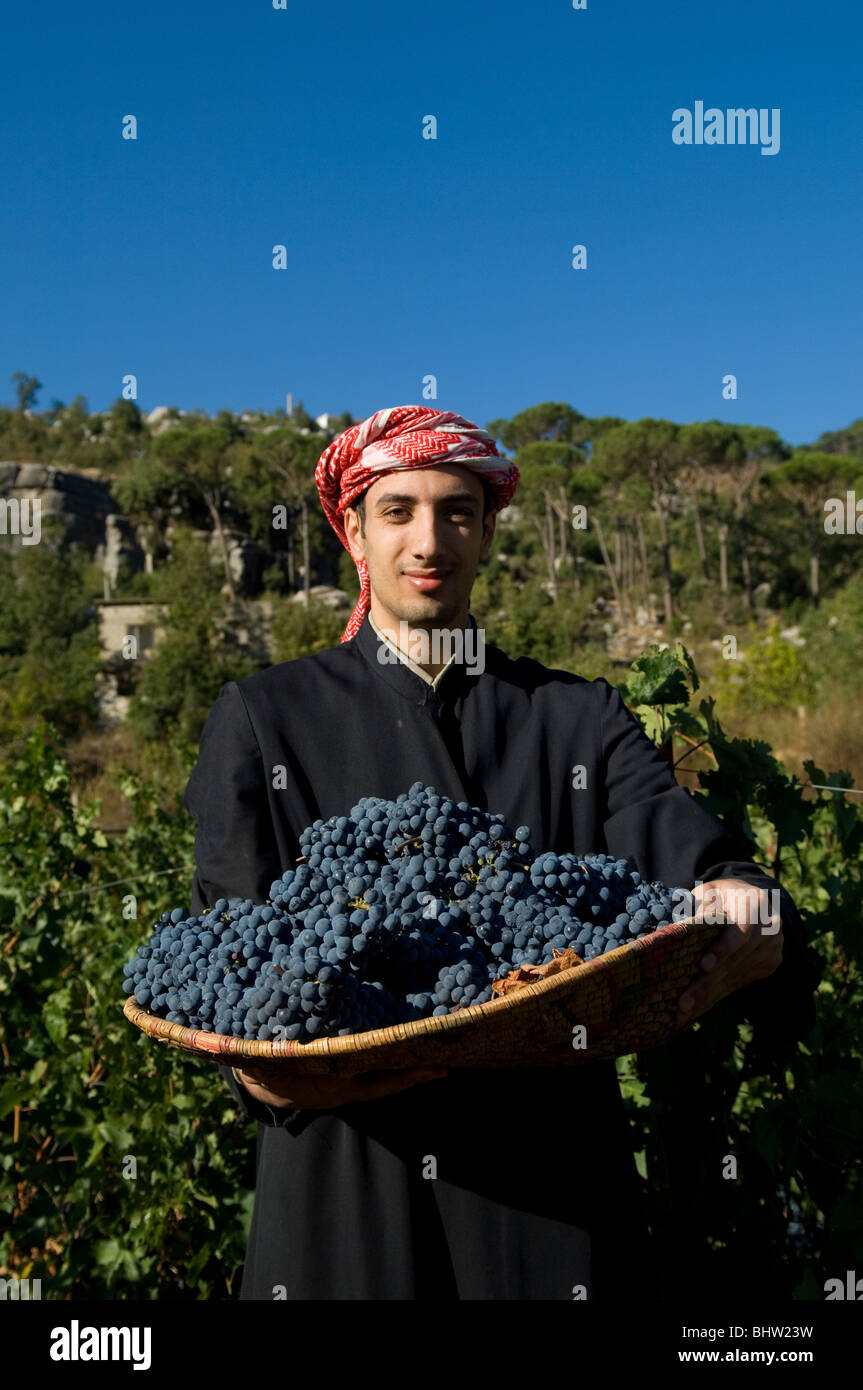 Nahen Ostens Landwirt arbeiten im Weinberg ein Korbwaren Tablett mit schwarzen Trauben Libanon Middle East Asia holding Stockfoto