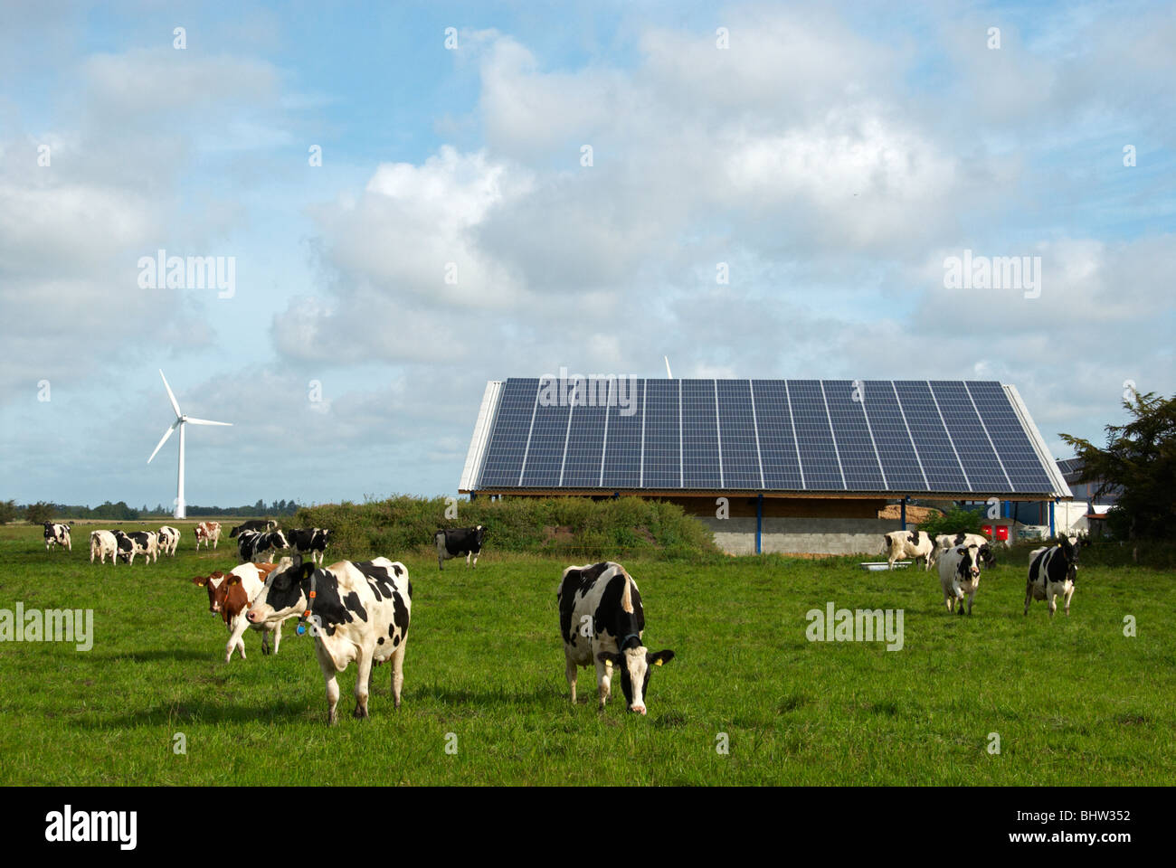 Große Solaranlage auf landwirtschaftliche Gebäude Deutschlands. Windturbine neben Gebäude. Stockfoto
