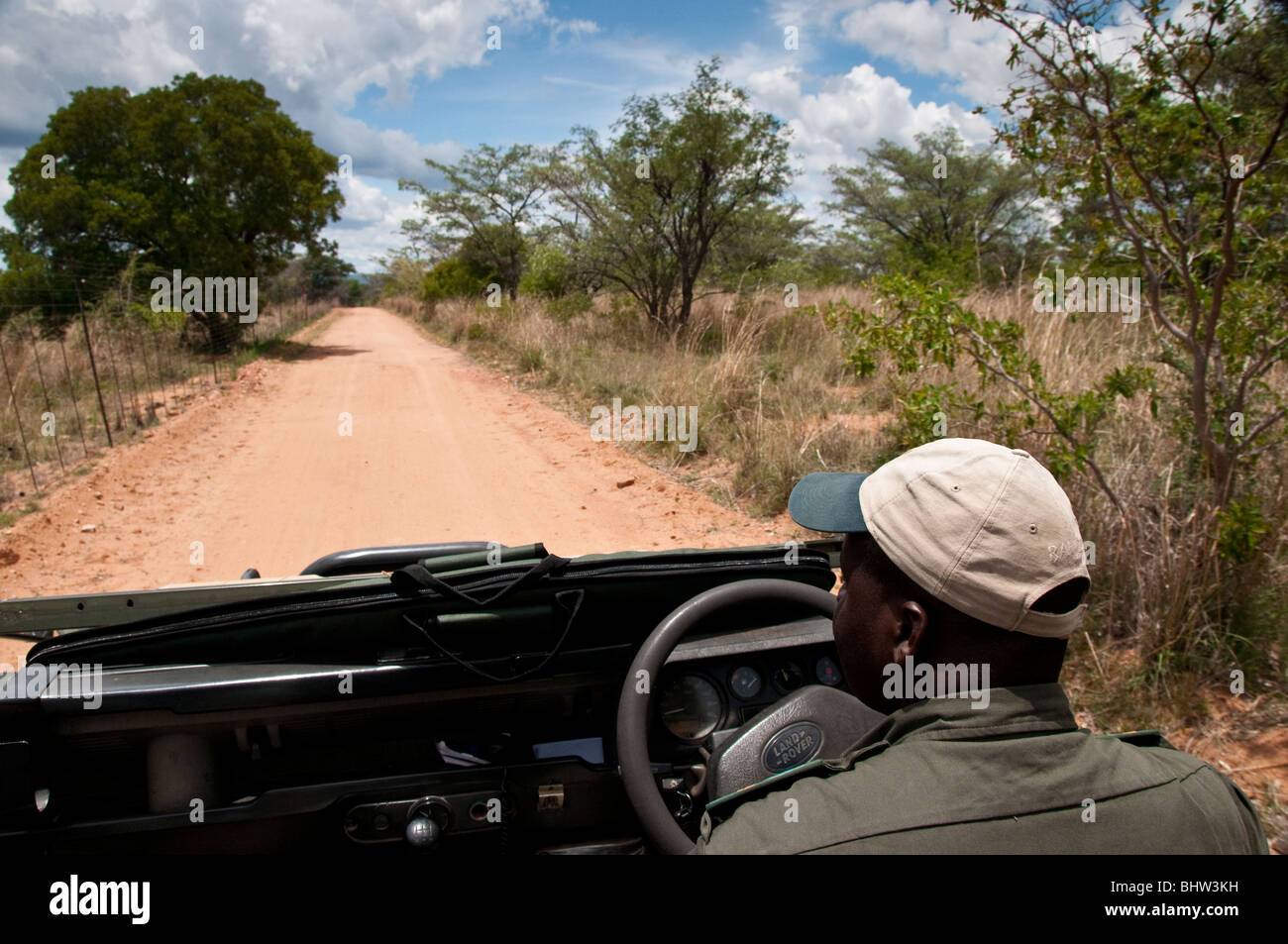 Game Drive/Safari mit Ranger Stockfoto