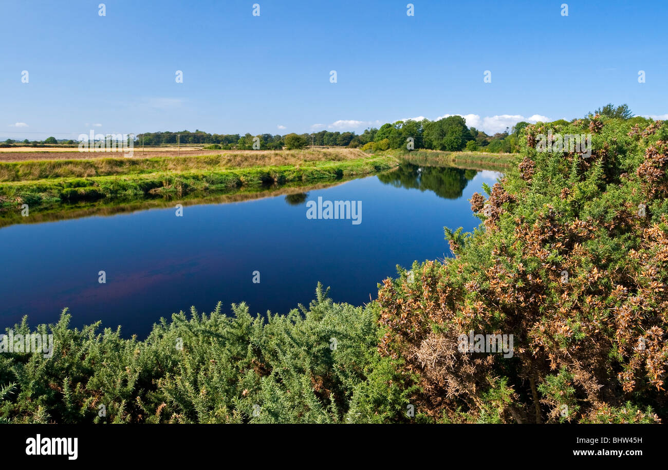 Der Roe River in der Nähe von Swanns Bridge Limavady County Londonderry Northern Ireland Stockfoto