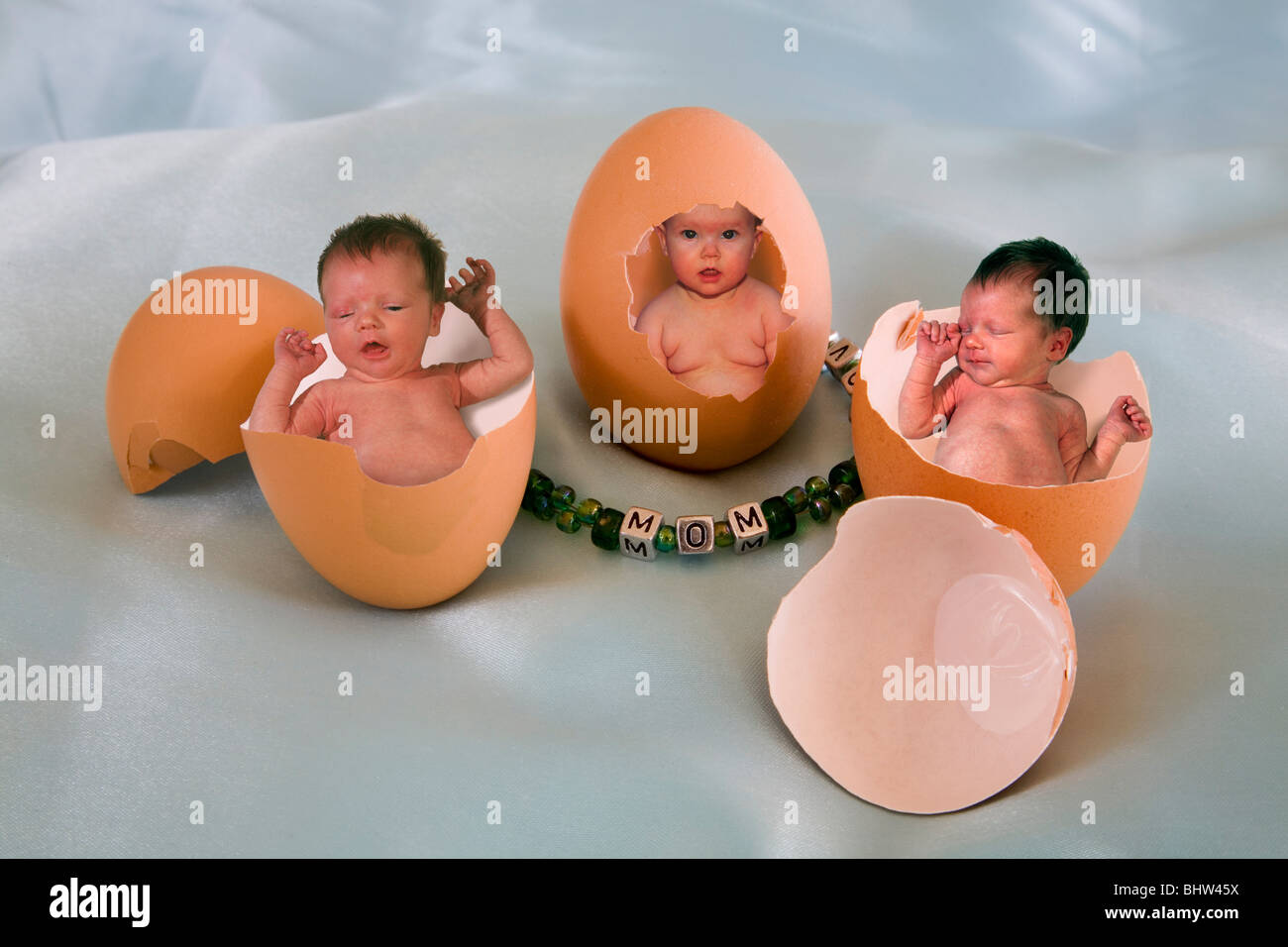 Babys im Nest. Stockfoto