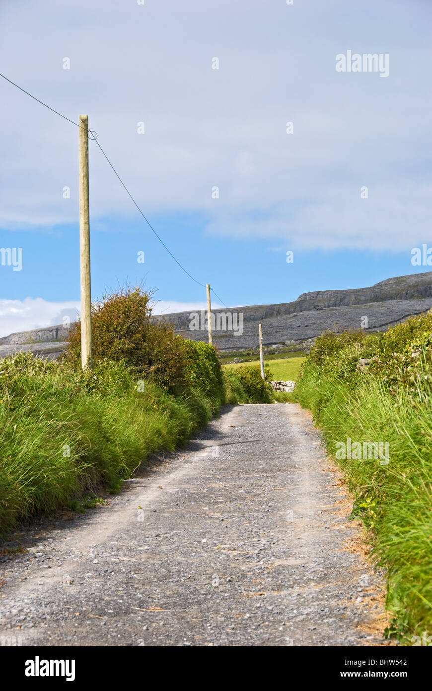 Die grüne Straße am Fanore. Stockfoto