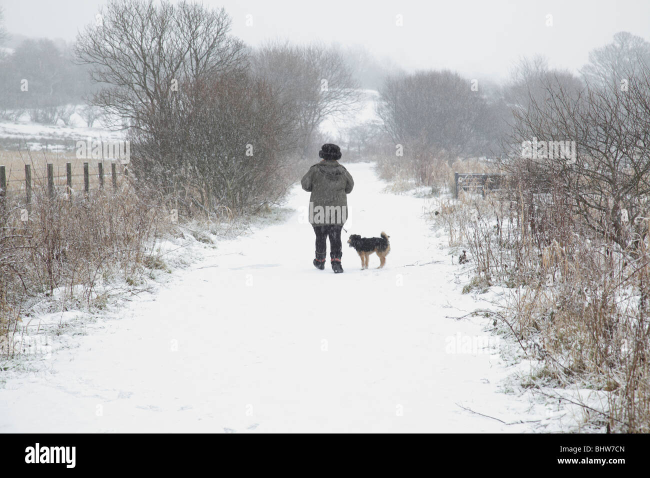 Frau, die im Winter mit einem Hund auf einem schneebedeckten Pfad spaziert, Großbritannien, Europa Stockfoto