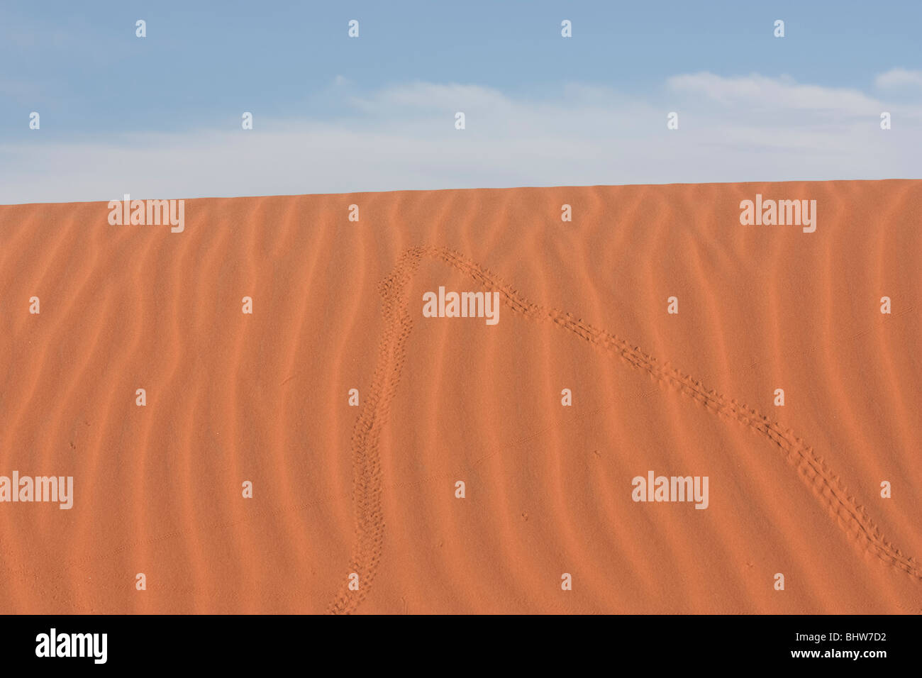 Die Sanddünen des Erg Chebbi in der Sahara-Wüste in der Nähe von Merzouga, Marokko. Stockfoto