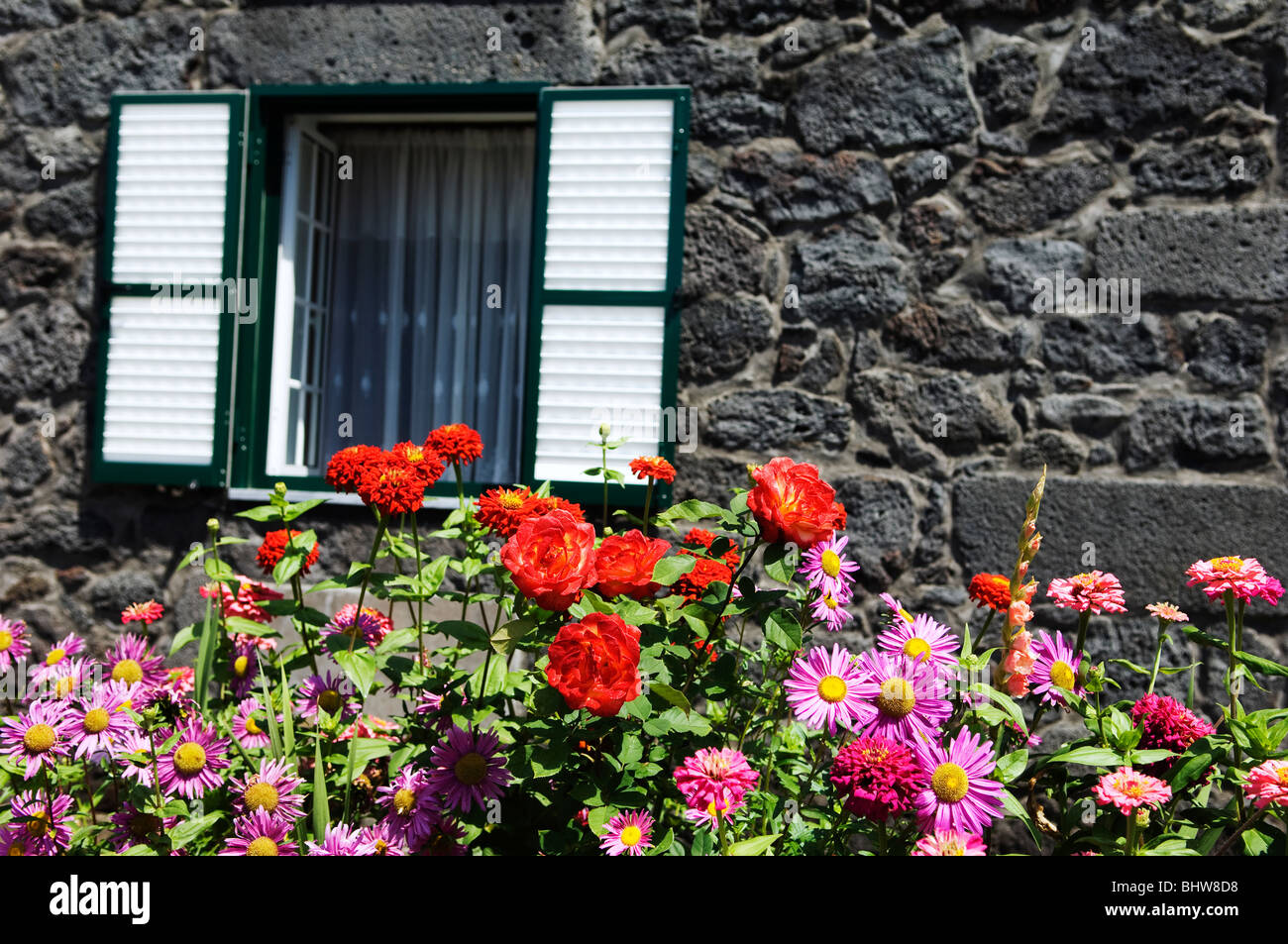 Blumenstrauß vor einem Haus aus Stein Stockfoto