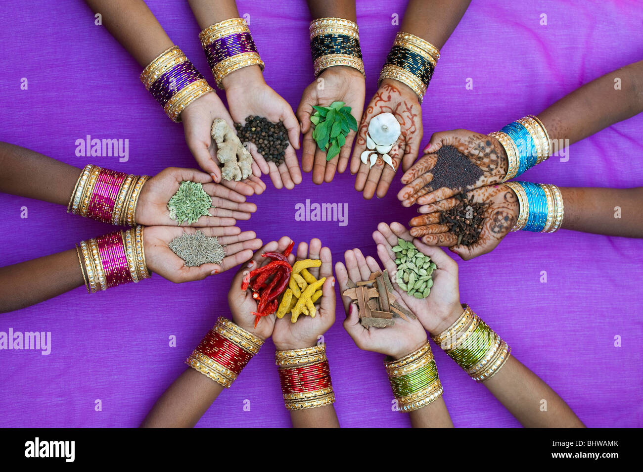 Indische Kinder Hände halten verschiedene indische Küche Gewürze gegen einen violetten Hintergrund. Indien Stockfoto