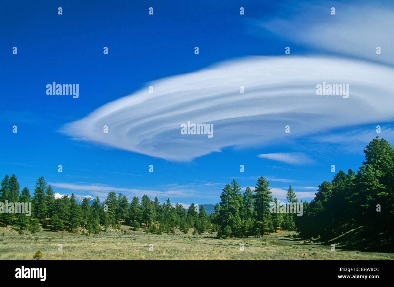 Linsenförmige, stratiforme orographischen Wolke Formen in der Nähe von San Francisco Peaks, Flagstaff, Arizona, USA Stockfoto