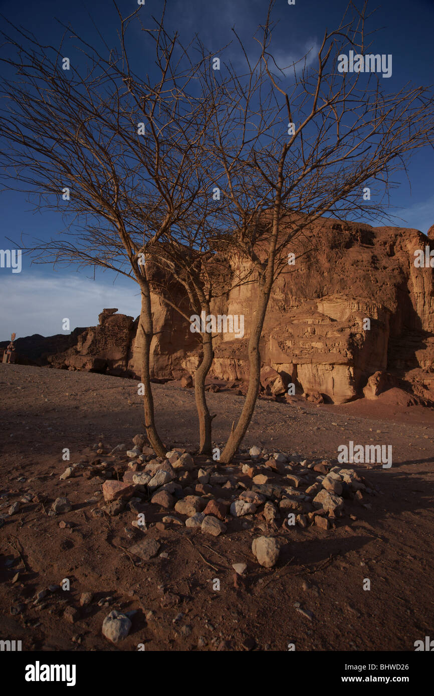 Timna Park Stockfoto