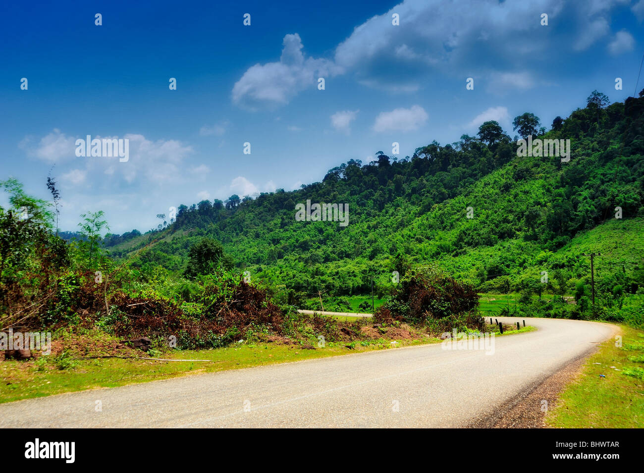 Reisfeld, Laos Stockfoto
