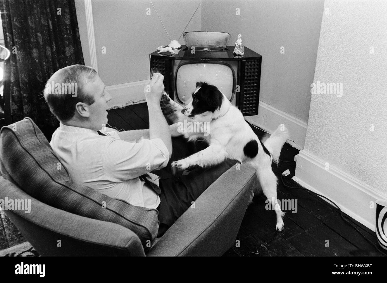 1966-World-Cup-Turnier in England. Gurken den Held-Hund, der den Jules-Rimet-Pokal gefunden, nachdem es zuvor gestohlen worden war die Stockfoto
