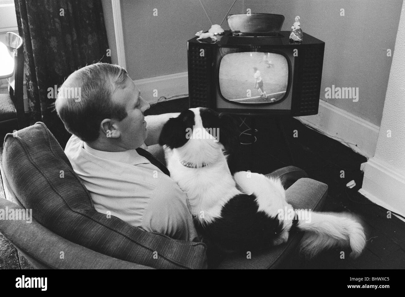 1966-World-Cup-Turnier in England. Gurken den Held-Hund, der den Jules-Rimet-Pokal gefunden, nachdem es zuvor gestohlen worden war die Stockfoto