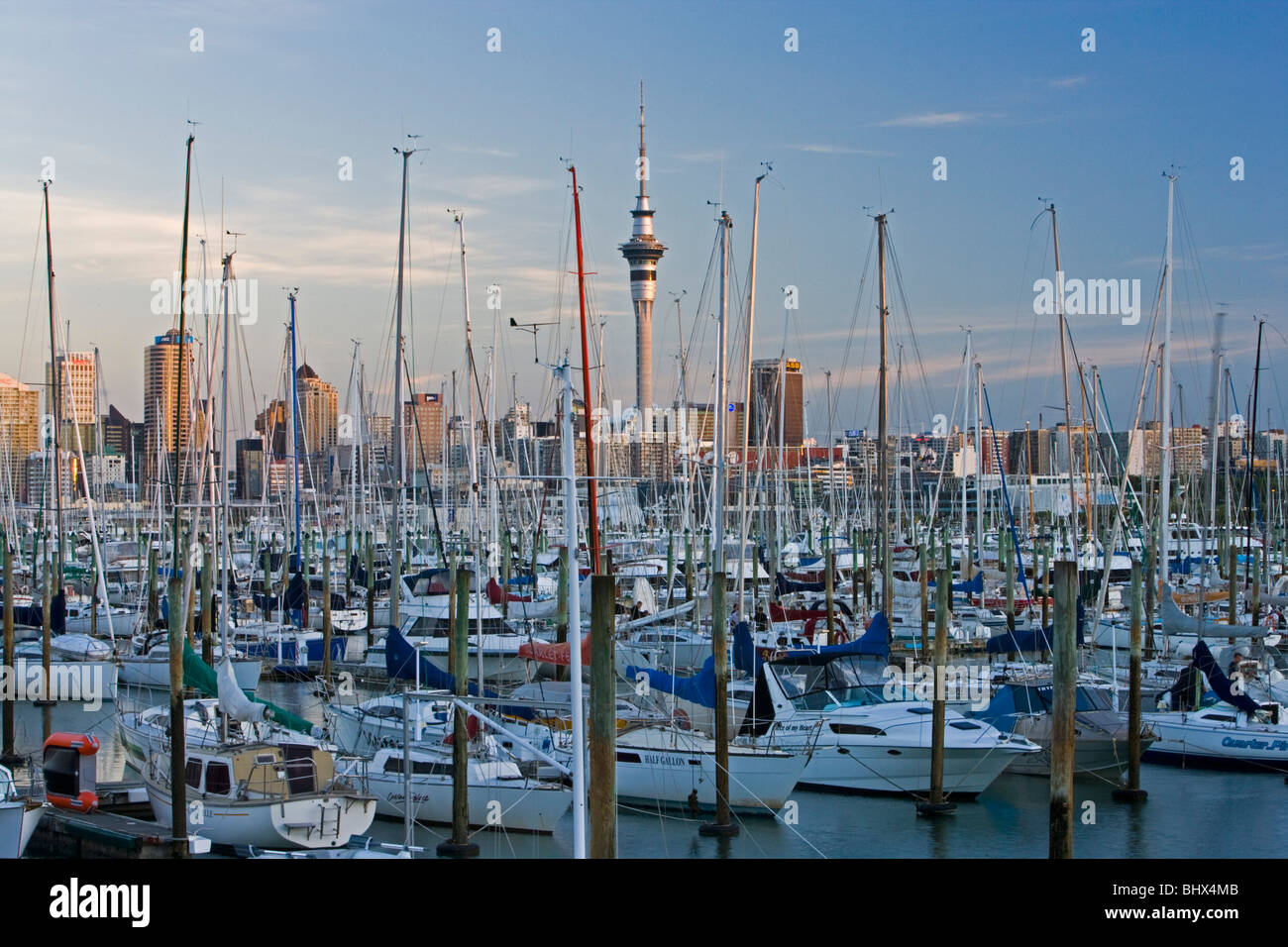 Westhaven Marina und Skytower, Auckland, Neuseeland Stockfoto
