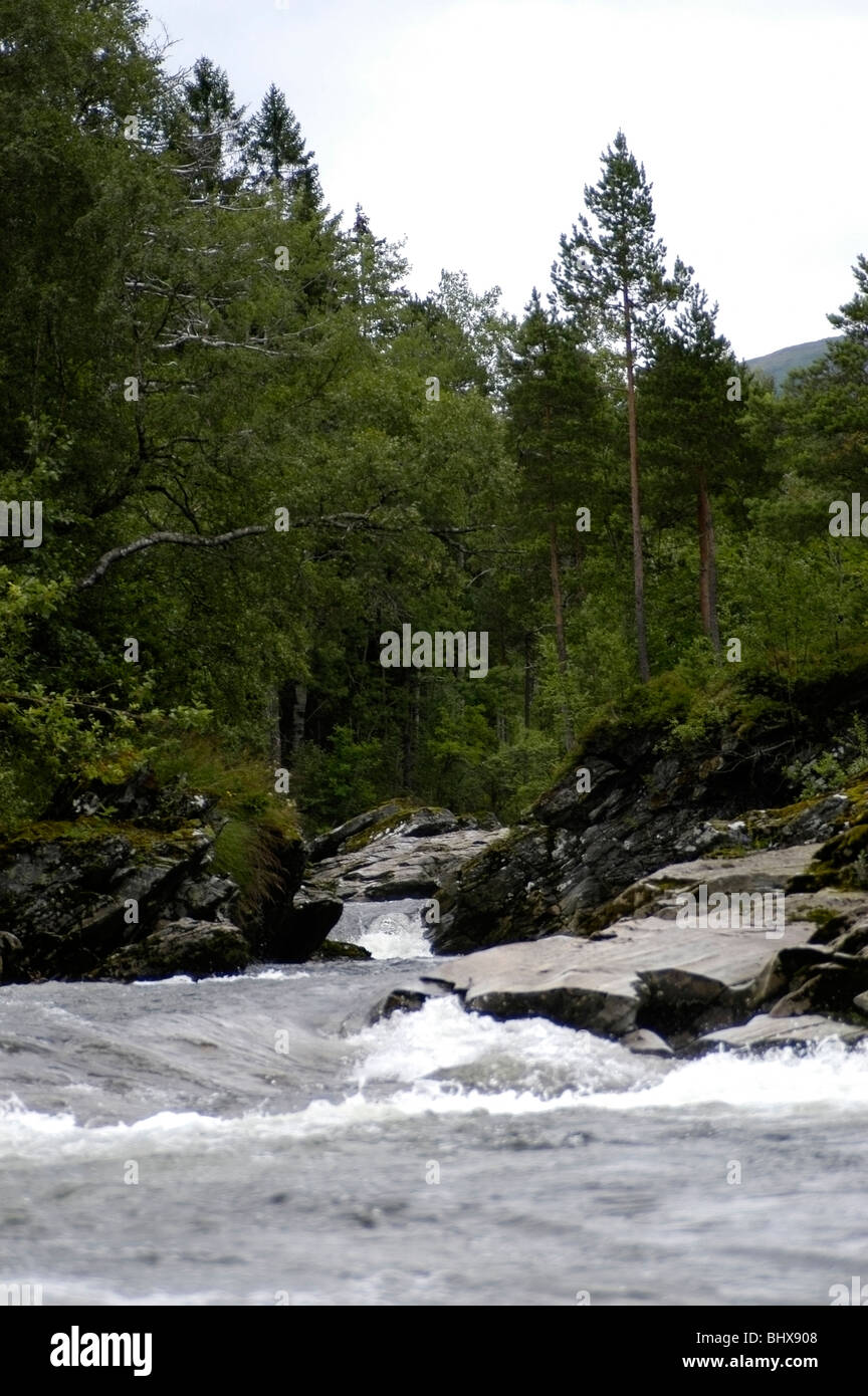 Ein Gebirgsfluss in Norwegen mit Bäumen und Felsen. Stockfoto