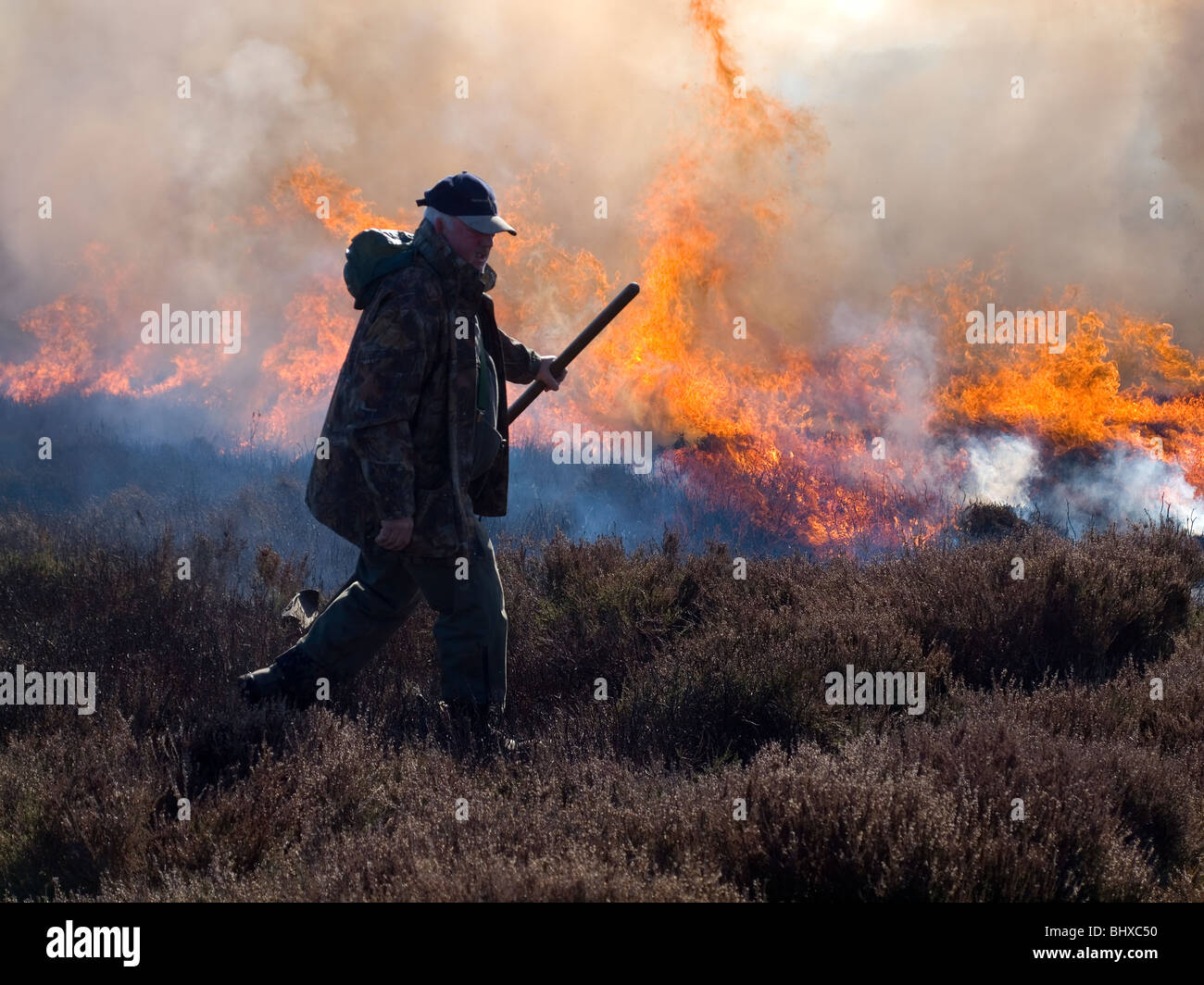 Gesteuert, Heidekraut Brennen auf der North Yorkshire Moors, es wächst lange und lank zu verhindern, wodurch seine Nährwert Stockfoto
