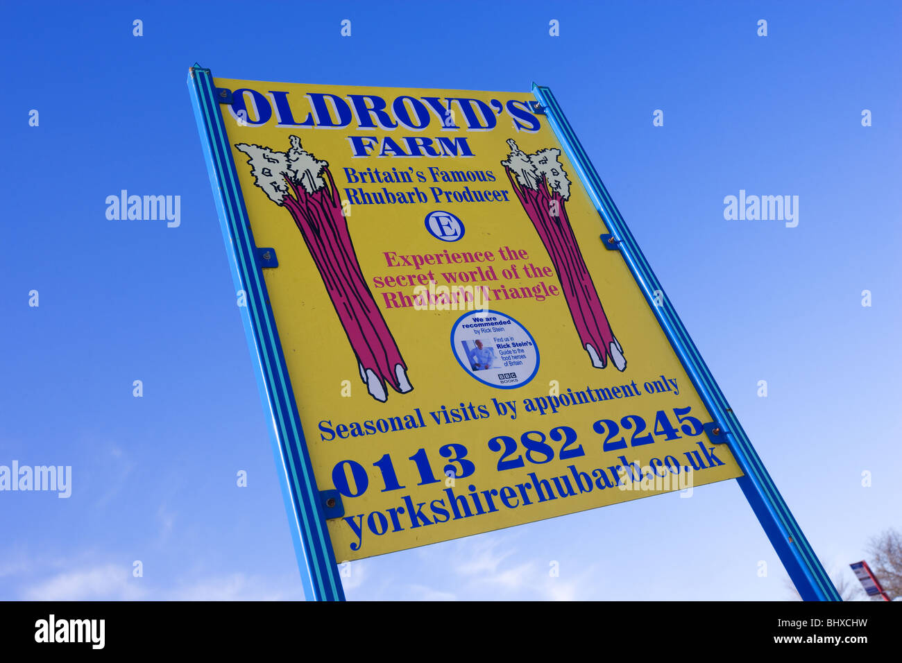 Oldroyd die Rhabarber-Farm in Yorkshire Stockfoto