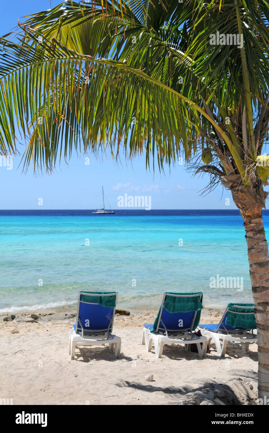 Tropischer Strand mit klarem Wasser und Liegestühlen und Palme im Vordergrund Stockfoto