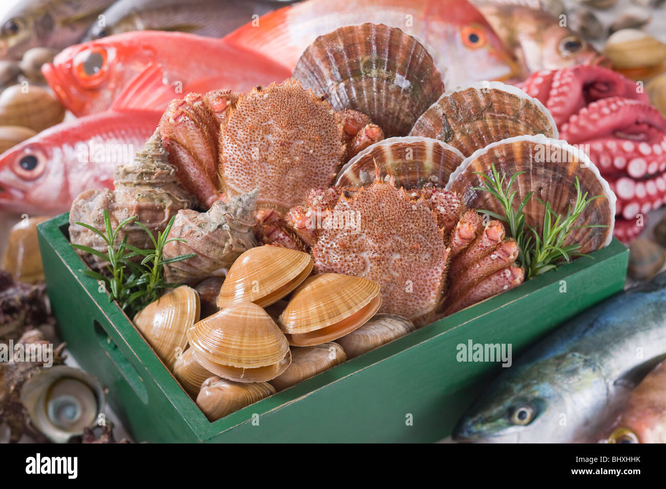 Meeresfrüchte Stockfoto