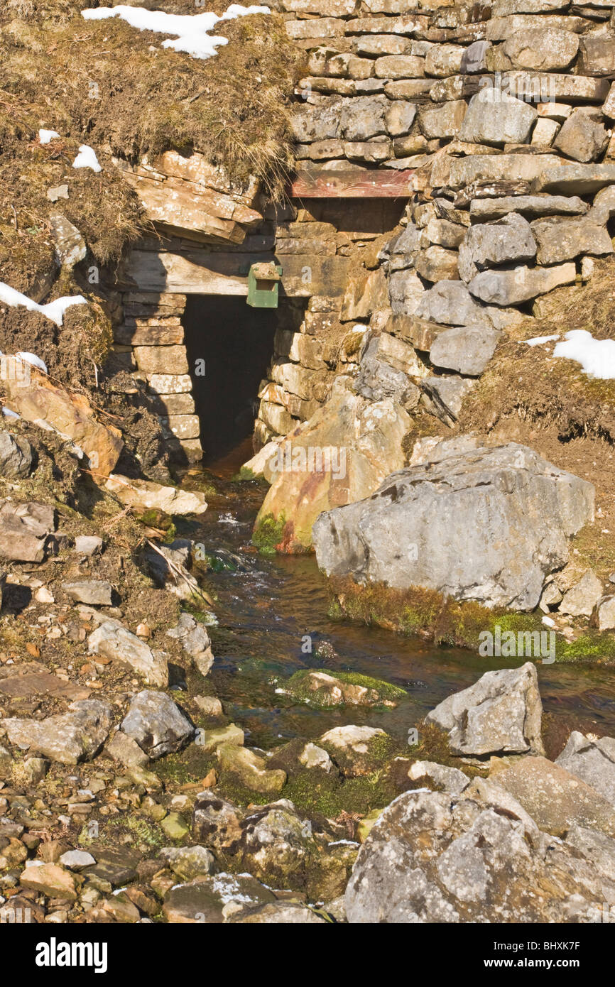 Eingang zum harte Ebene, führen eine alte mine im Swaledale, Yorkshire Stockfoto