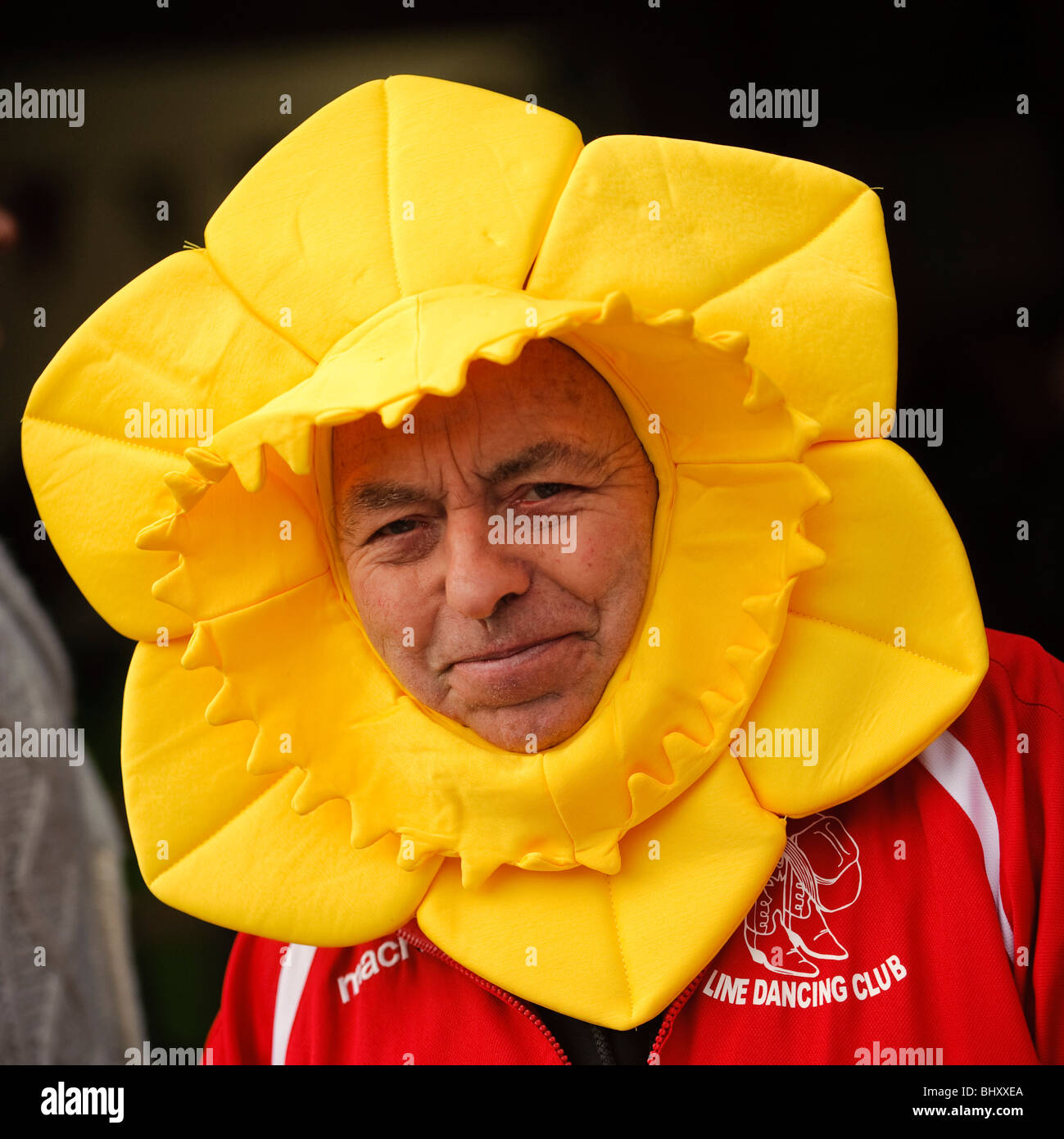 Ein Mann mit einem gelben Narzissen Kopf-Kleid bei den Welsh Lady Charity gesponsert Volkslauf, St Davids Day, Aberystwyth Wales UK Stockfoto