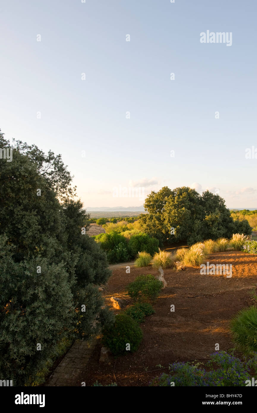 Garten von Sos Ferres auf Mallorca in Spanien Stockfoto