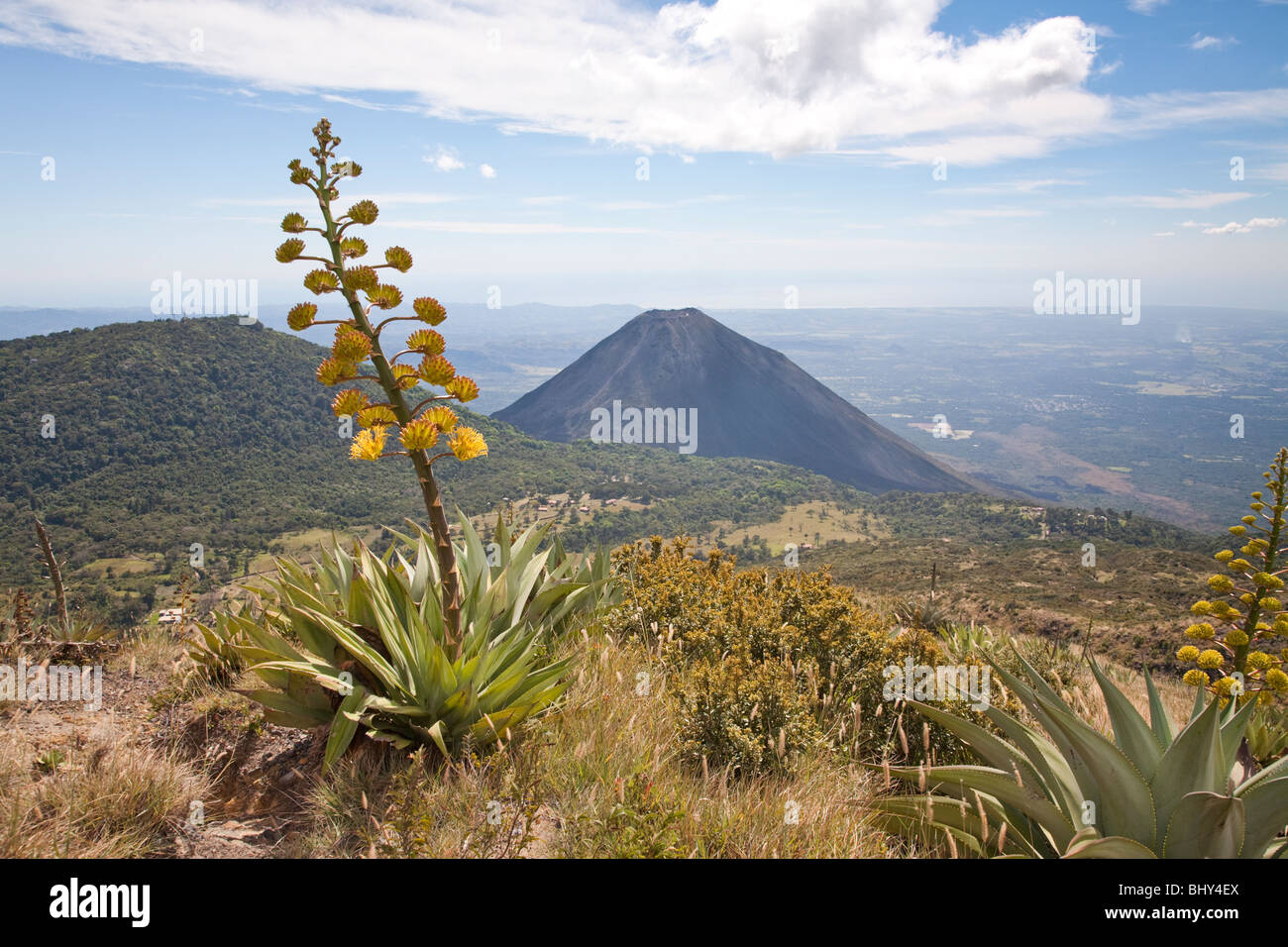 Izalco Vulkan Cerro Verde, El Salvador Stockfoto