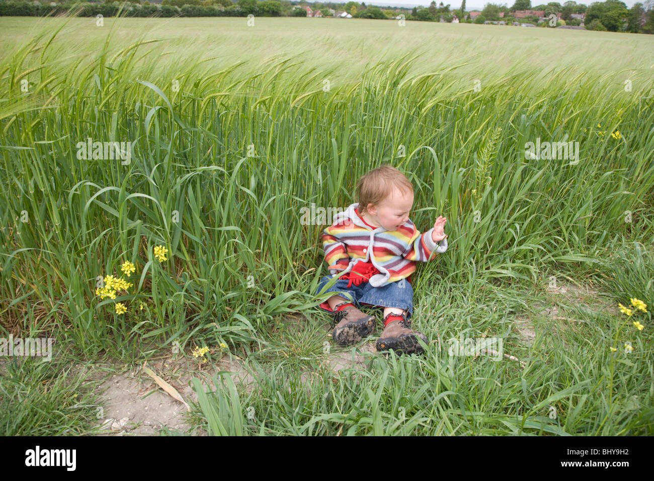 16 Monate altes Mädchen sitzt am Gerstenfeld. Stockfoto