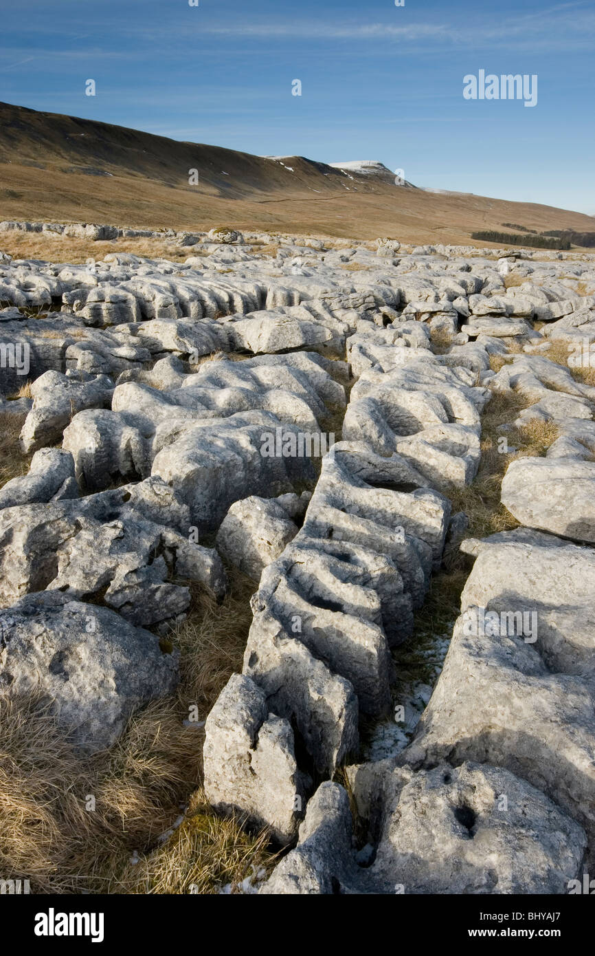 Ein Winter-Blick auf Whernside, in den Yorkshire Dales National Park, aus dem Kalkstein Pflaster von Skalen Moor Stockfoto