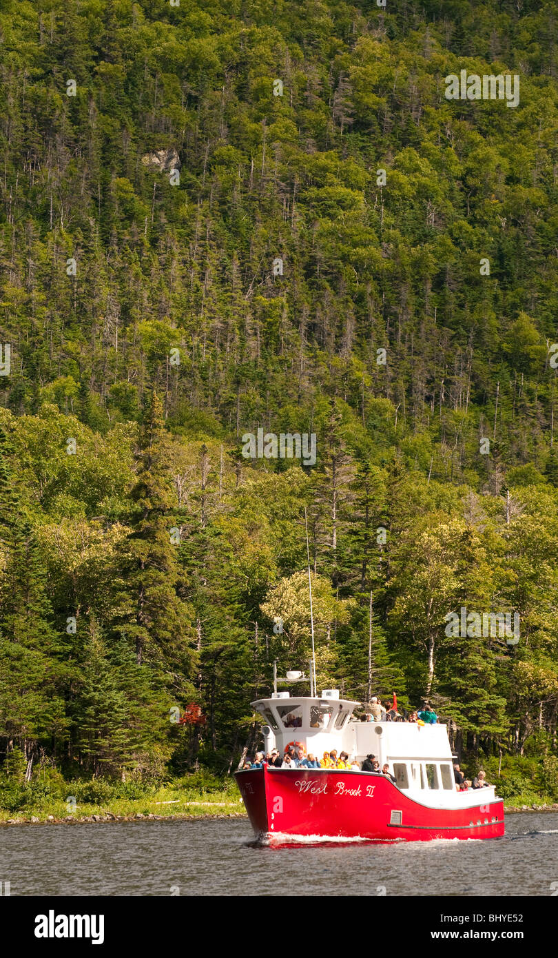 Western Brook Pond, Gros Morne National Park, Neufundland, touristischen Sehenswürdigkeiten von Boot entlang der bewaldeten Küste. Stockfoto