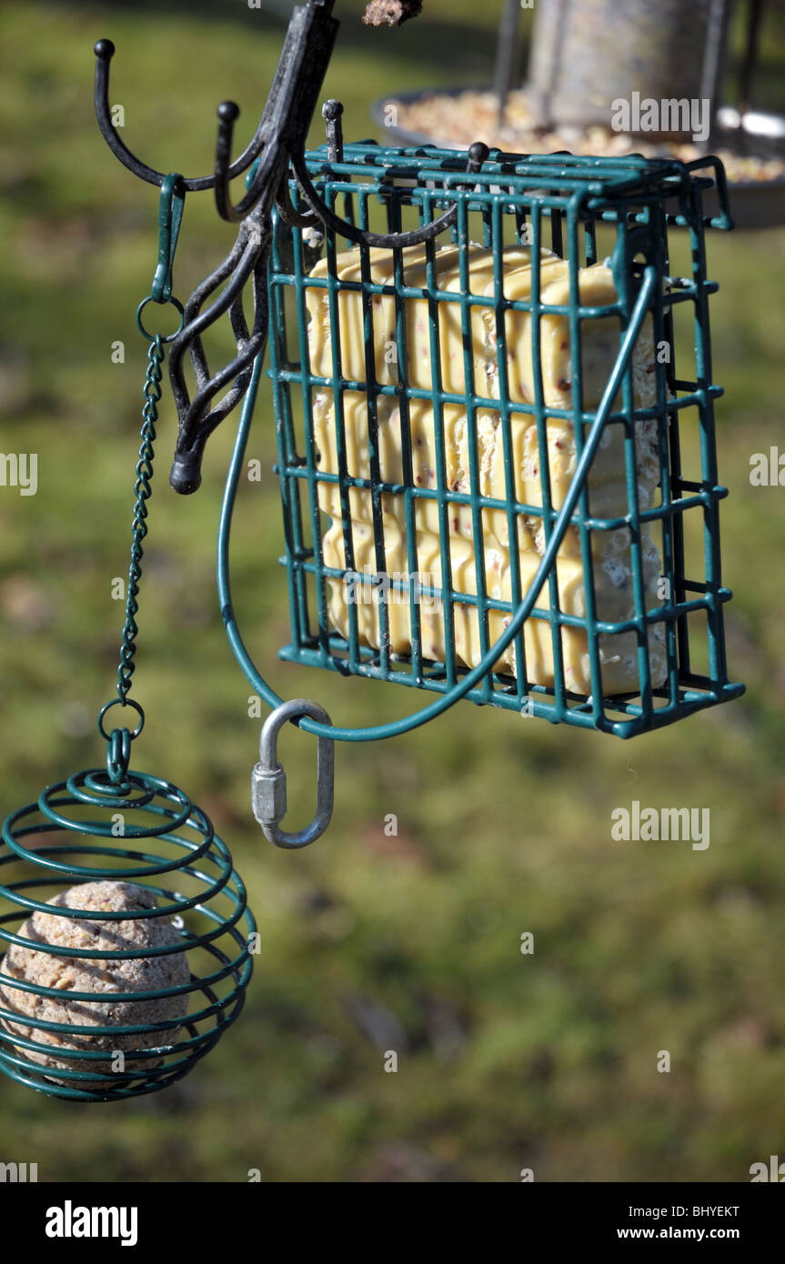 Vogel Fett/Talg Block Feeder-Nahaufnahme Stockfoto