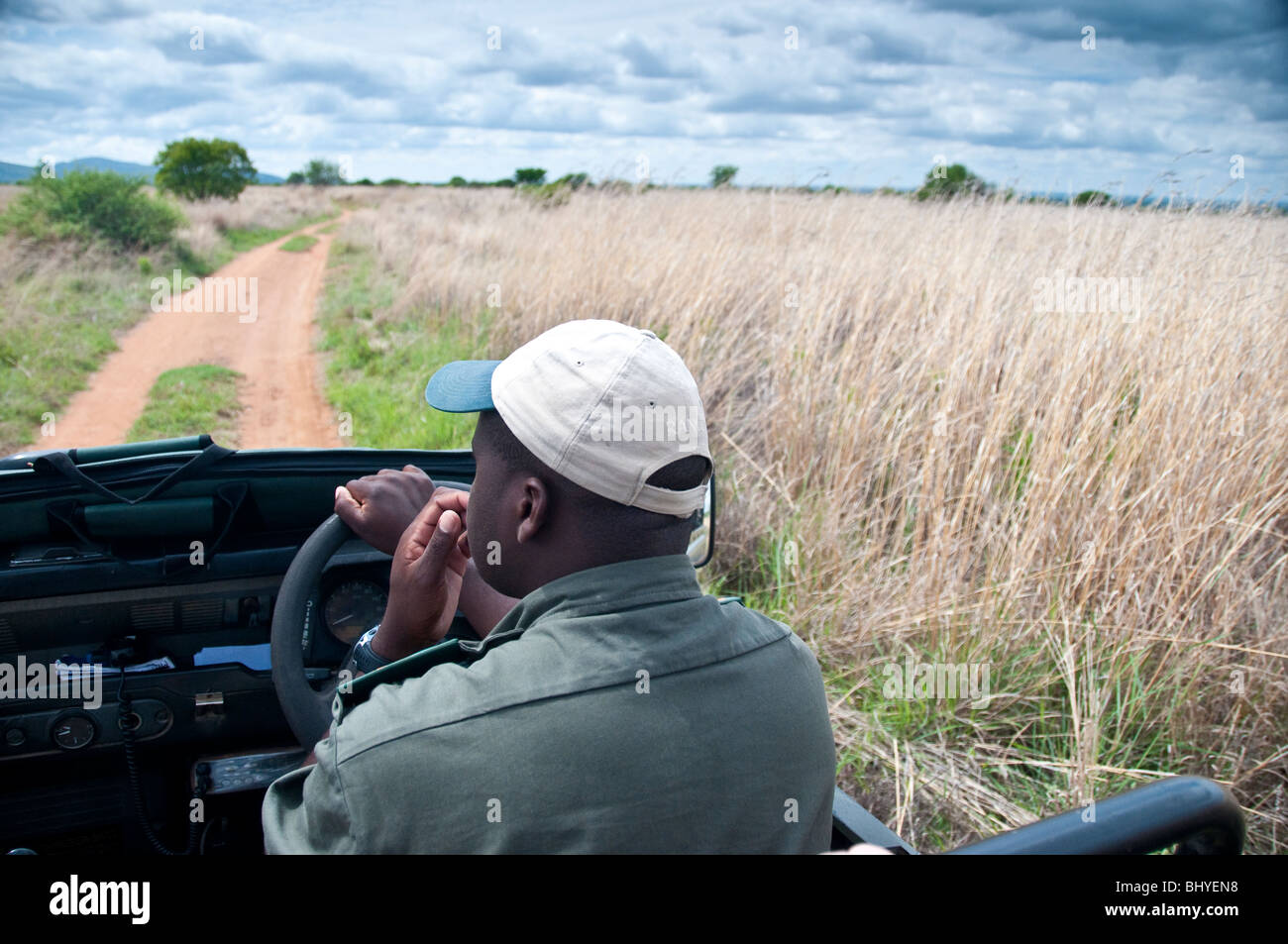 Game Drive/Safari mit Ranger Stockfoto