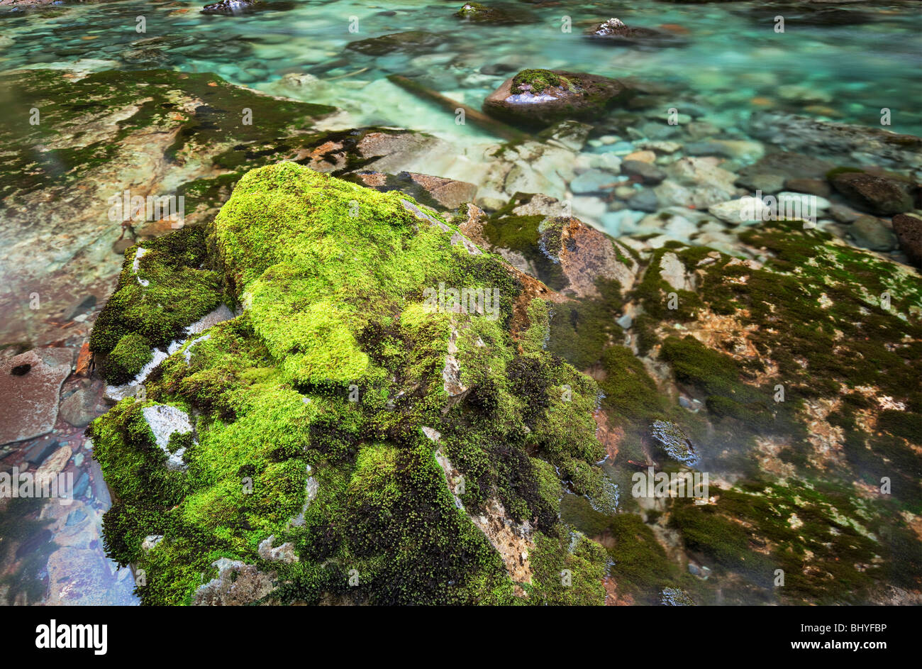 Norden Santiam Flüsschen mit bunten Felsen und Pools. Opal Creek malerische Recreation Area, Oregon Stockfoto