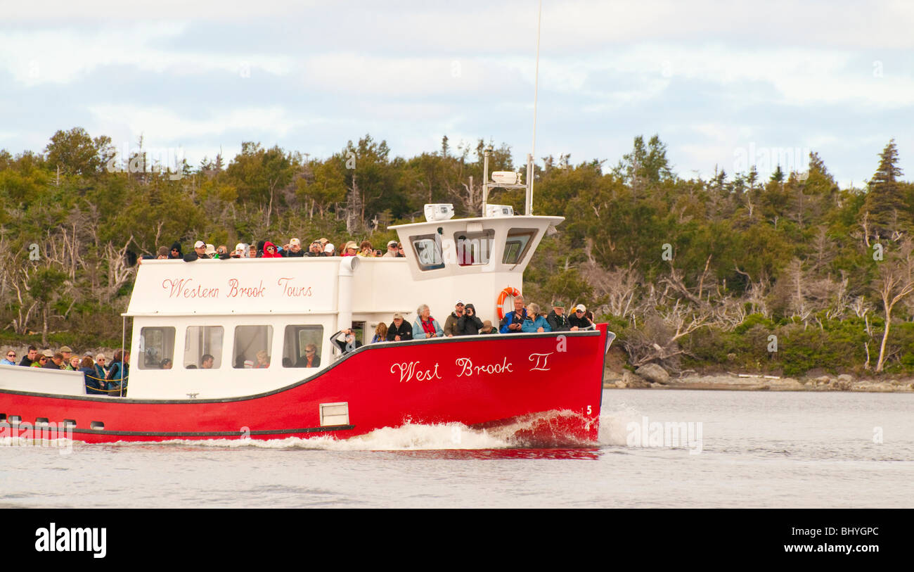 Touristen, Gros Morne National Park, Neufundland, Western Brook Pond Sehenswürdigkeiten vom Boot entlang der bewaldeten Küste Stockfoto
