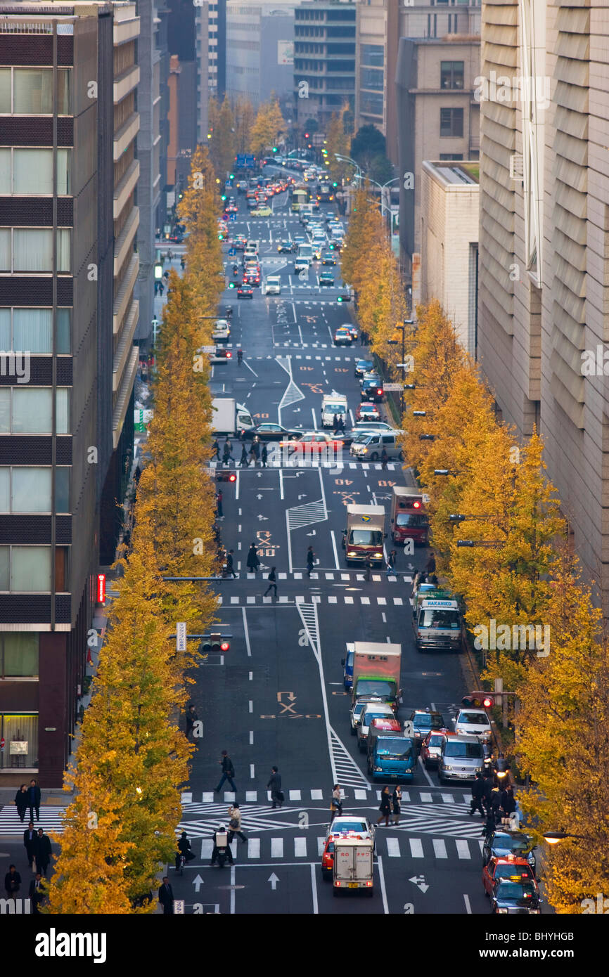 Herbst ginkgo Bäume säumen Daimyokoji Avenue, mit Verkehr und Fußgänger Verzahnung im Geschäftsviertel Marunouchi der Tokio, Japan's Chiyoda Bezirk. Stockfoto