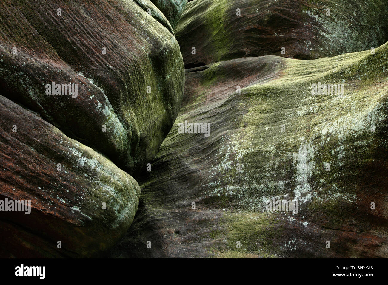 Brimham Rocks, Yorkshire, Großbritannien Stockfoto