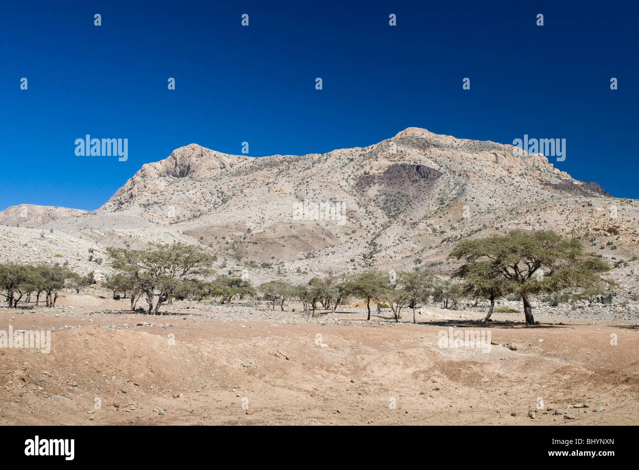 Die Aussicht auf dem Weg nach Nizwa im Oman. Die kargen Felsen zaubern einige interessanten Farben und ein paar Pflanzen zu verwalten, zu wachsen. Stockfoto