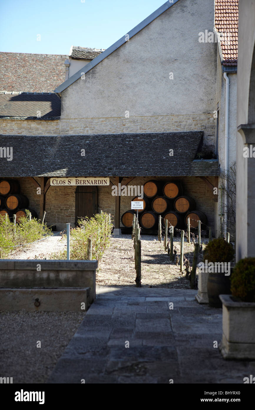 Weinfässer in Burgund, Frankreich Stockfoto