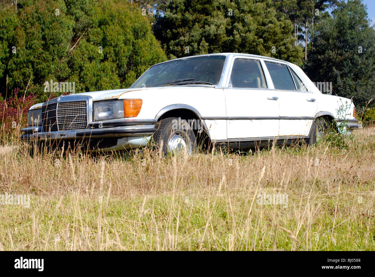 Mercedes Oldtimer im Feld aufgegeben. Eine symbolische Darstellung für die Zukunft der Wirtschaft? Stockfoto