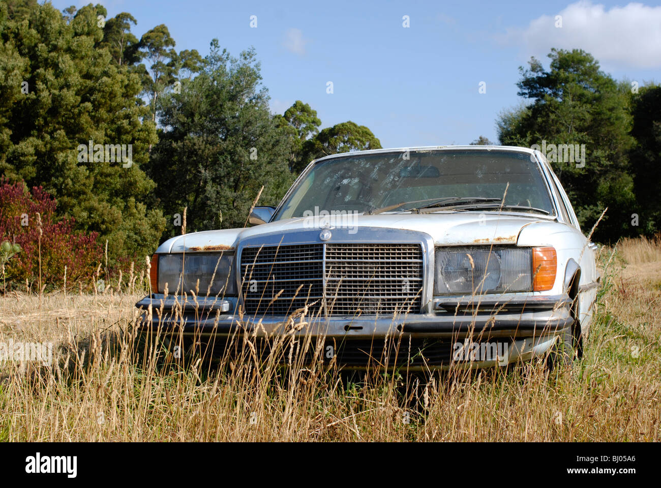 Mercedes Oldtimer im Feld aufgegeben. Eine symbolische Darstellung für die Zukunft der Wirtschaft? Stockfoto