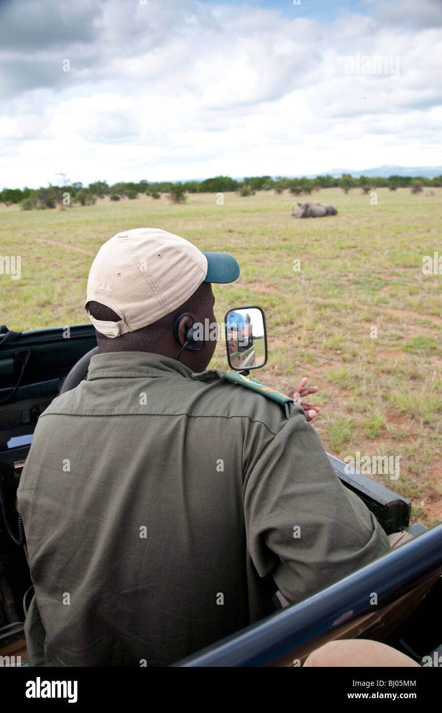 Game Drive/Safari mit Ranger Stockfoto