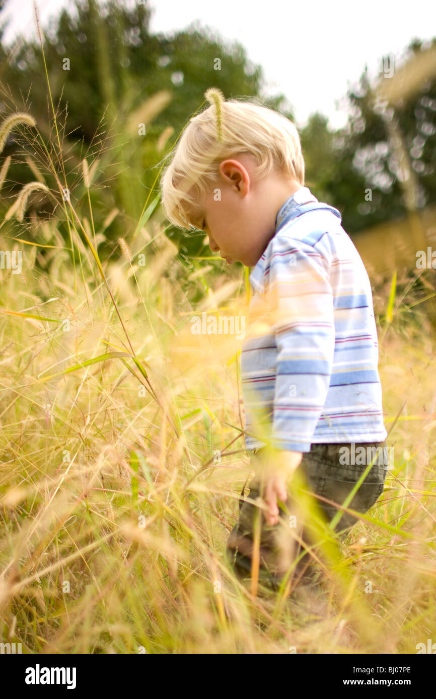 Kleiner Junge spielt auf einer Wiese. Stockfoto