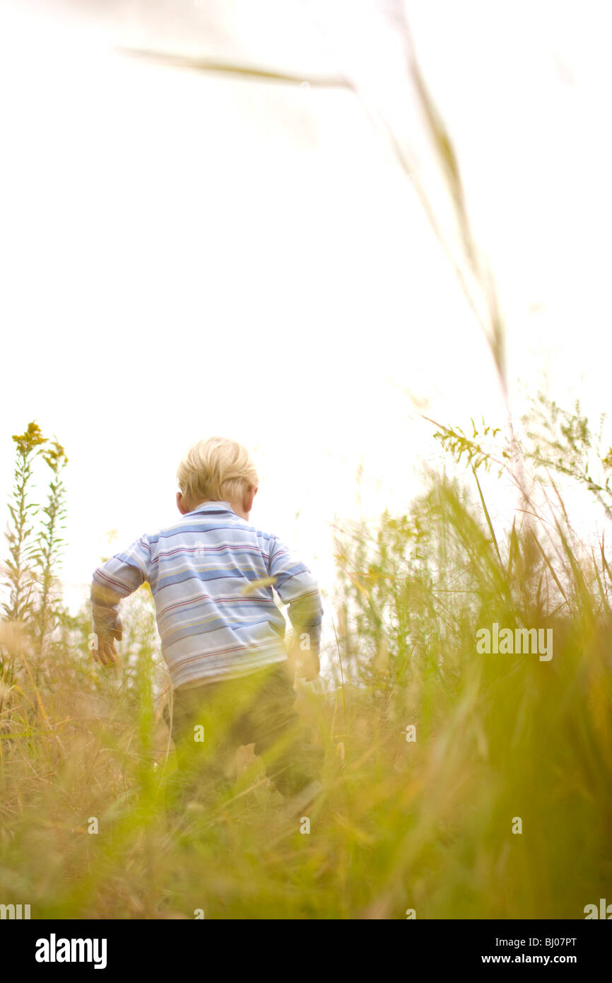 Kleiner Junge spielt auf einer Wiese. Stockfoto