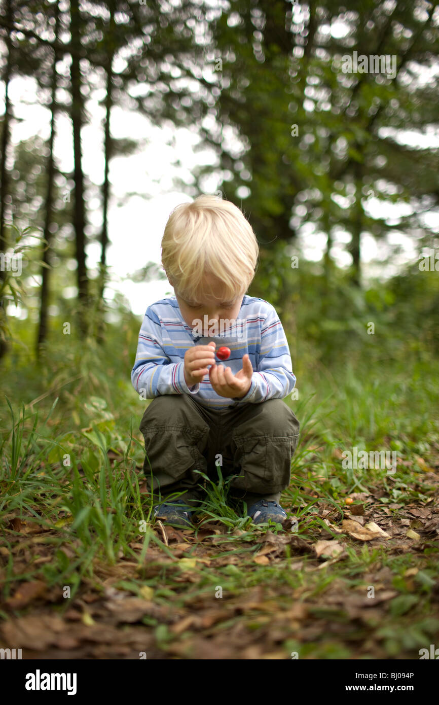 Kleiner Junge eine Kirsche im Wald zu betrachten. Stockfoto