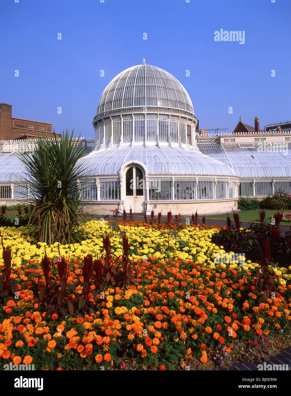 Palm House, botanische Gärten, Belfast, Grafschaft Antrim, Nordirland, Vereinigtes Königreich Stockfoto