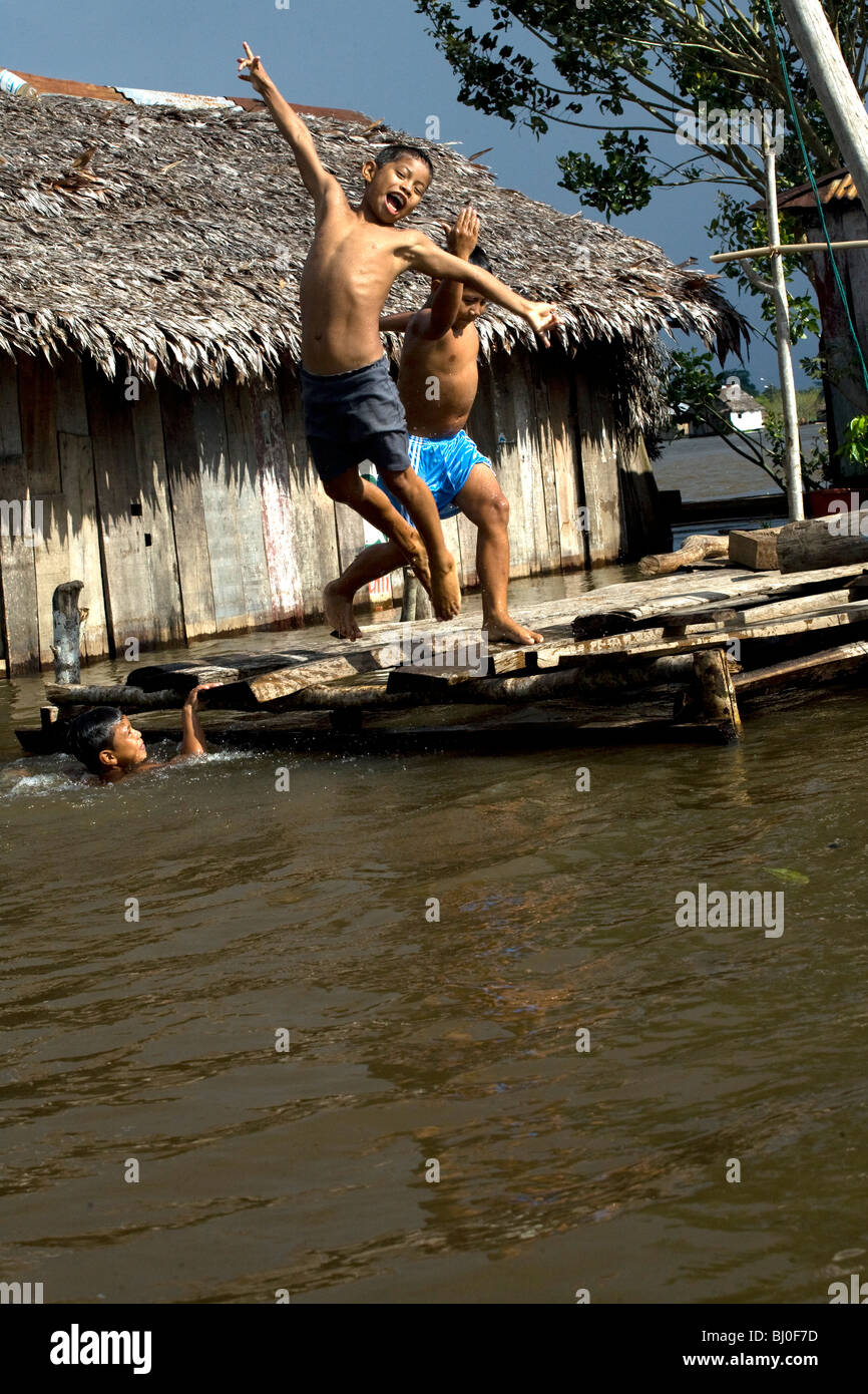 Der Amazonas Regenwald von Peru ist sehr artenreichen und seine seltene Tiere, Pflanzen und indigenen Kulturen bedroht sind. Stockfoto