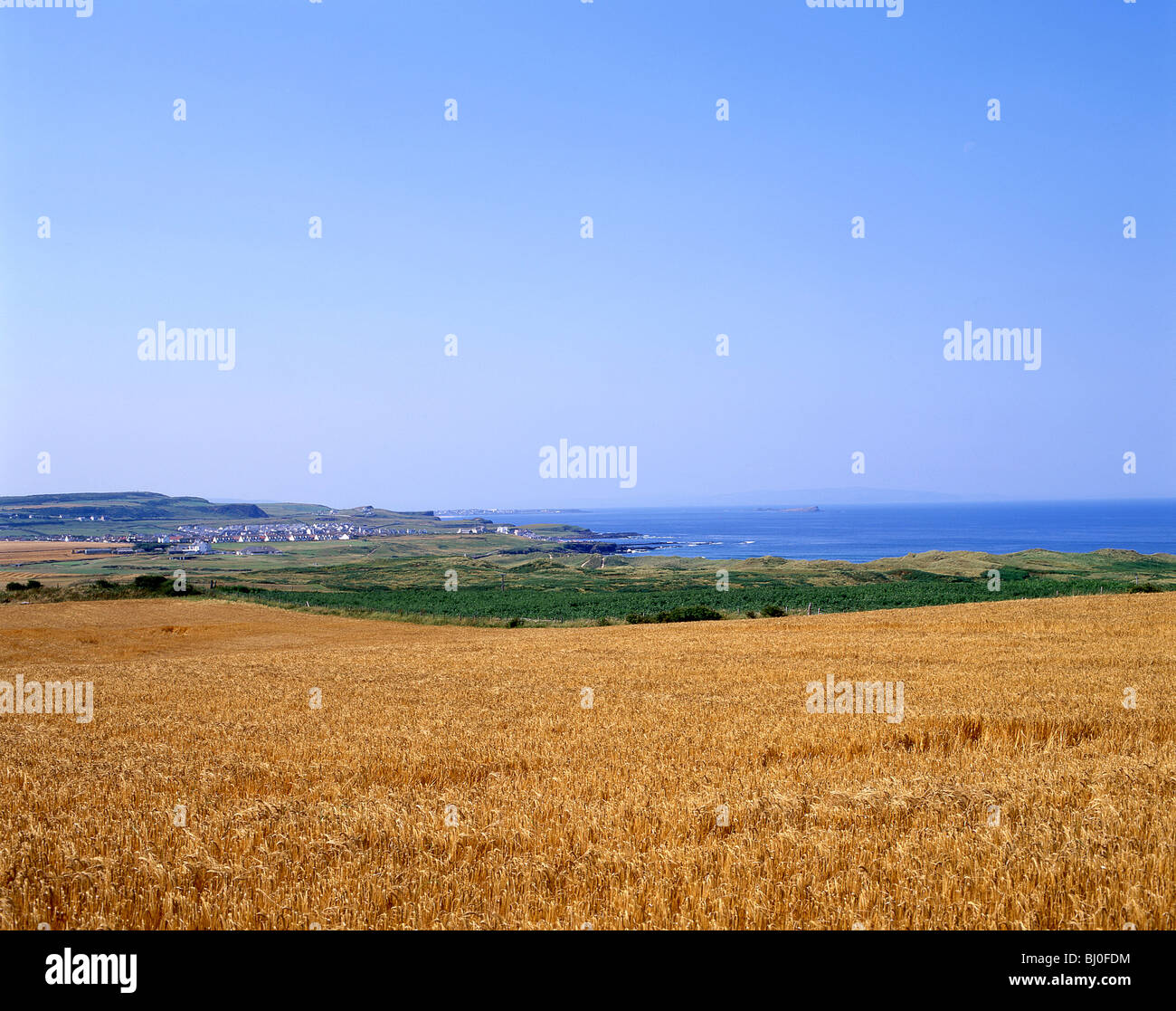 Küsten-Ansicht, The Causeway-Küste, Nordirland, Vereinigtes Königreich Stockfoto