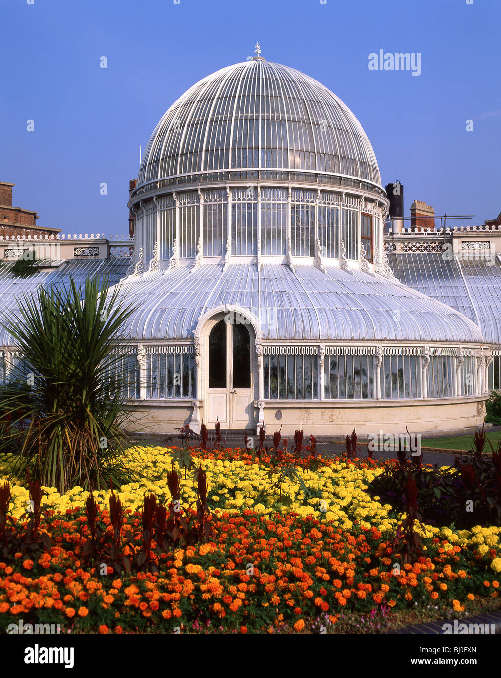 Palm House, botanische Gärten, Belfast, Grafschaft Antrim, Nordirland, Vereinigtes Königreich Stockfoto