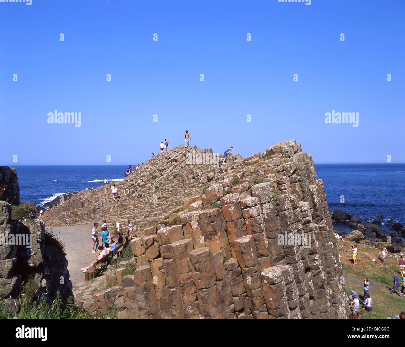 Der Giant's Causeway, County Antrim, Nordirland, Vereinigtes Königreich Stockfoto