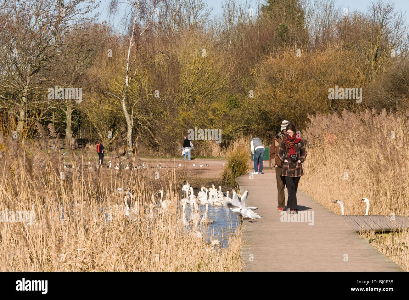 Menschen kommen um Cosmeston Seen Land Park Penarth in der Nähe von Cardiff an einem sonnigen Tag im März Stockfoto