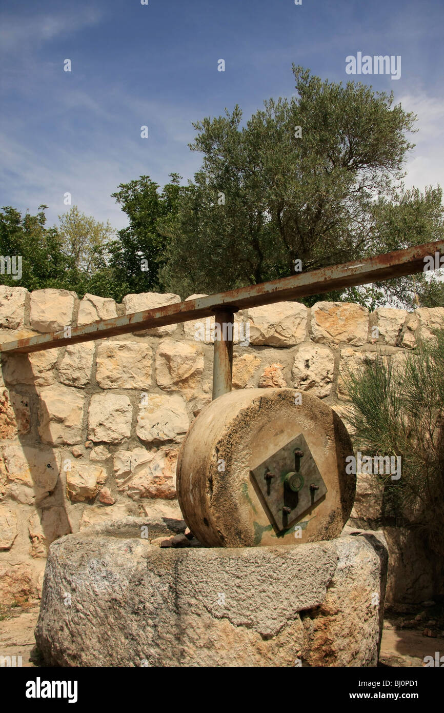 Israel, Jerusalem. Eine Olive drücken er Tal des Kreuzes Stockfoto