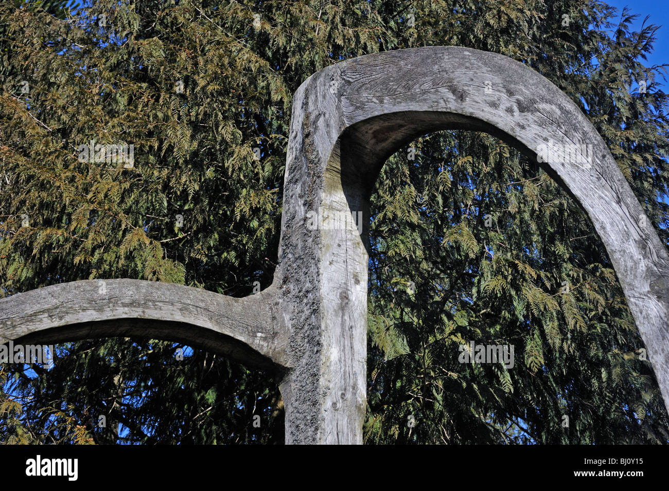 "Lärche Bogen" (Detail), Outdoor-Skulptur von Jim Partridge und Liz Walmsley, 1990. Grizedale Forest Park, Lake District. Stockfoto